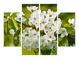 4-piece-canvas-print-white-flowers-in-xl