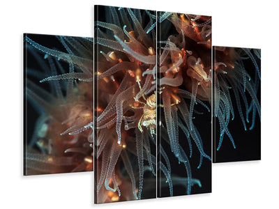 4-piece-canvas-print-zanzibar-whip-coral-shrimp