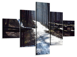 5-piece-canvas-print-a-path-in-the-snow
