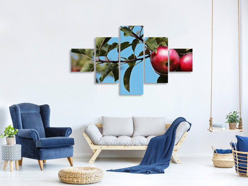 5-piece-canvas-print-apple-on-the-tree