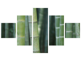5-piece-canvas-print-bamboo-in-xxl
