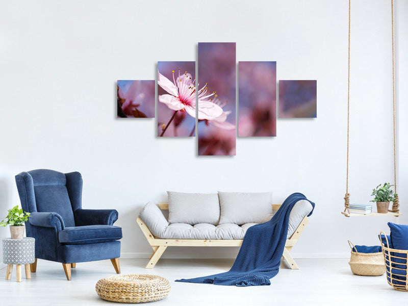 5-piece-canvas-print-close-up-cherry-blossom