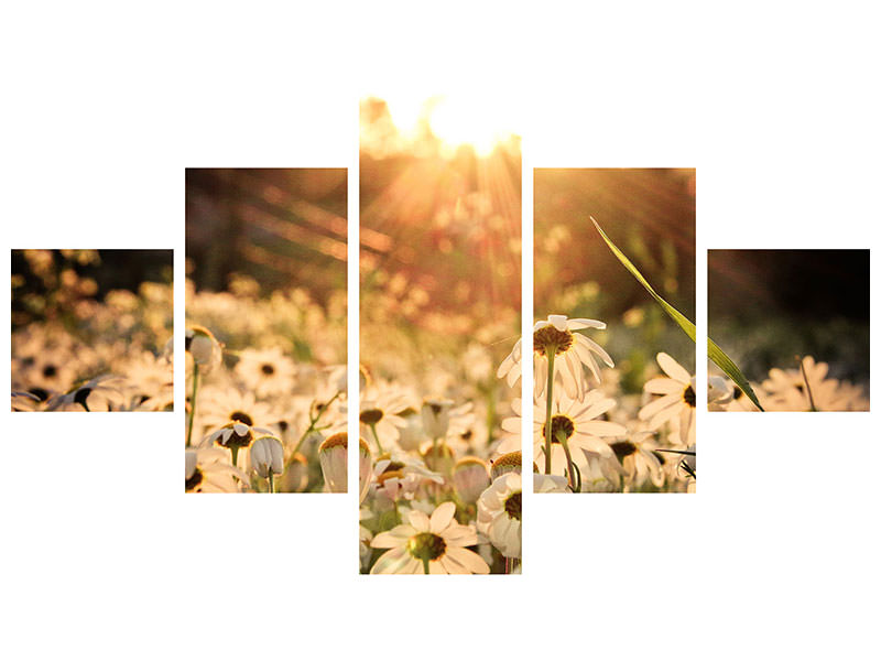 5-piece-canvas-print-daisies-at-sunset