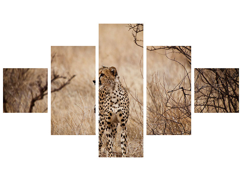 5-piece-canvas-print-elegant-cheetah