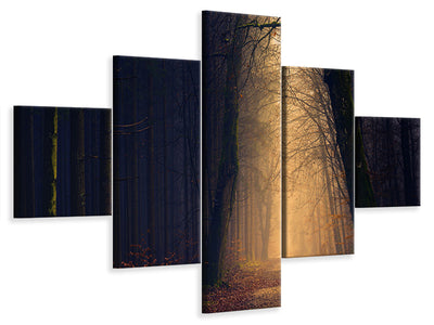 5-piece-canvas-print-evening-mood-in-the-forest