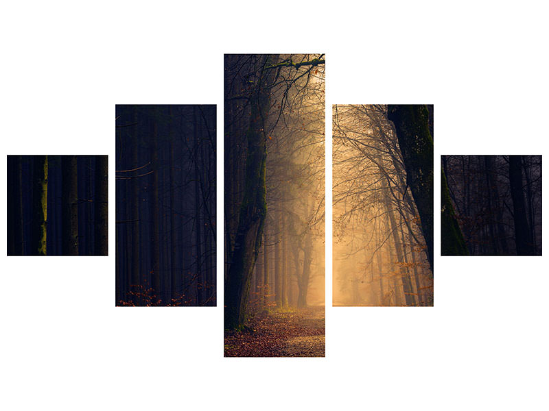 5-piece-canvas-print-evening-mood-in-the-forest