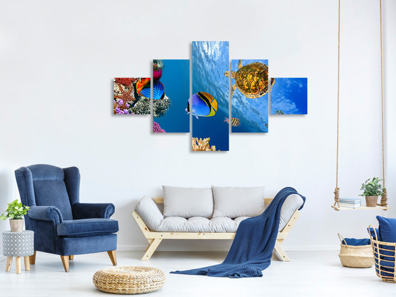 5-piece-canvas-print-fish-in-the-water