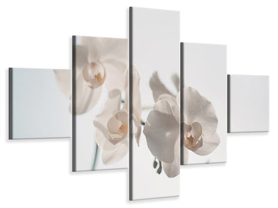 5-piece-canvas-print-graceful-orchids
