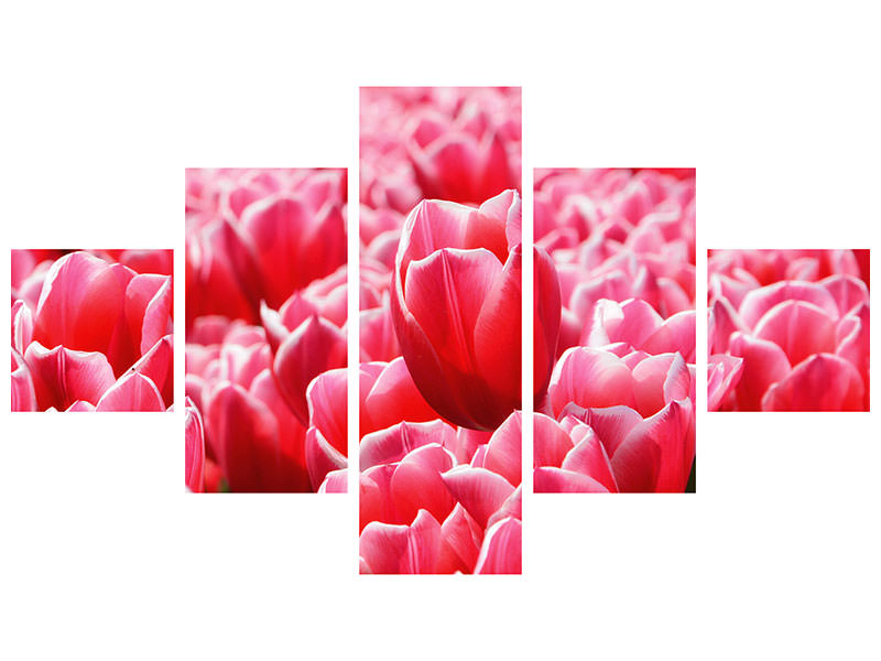 5-piece-canvas-print-happy-tulip-field