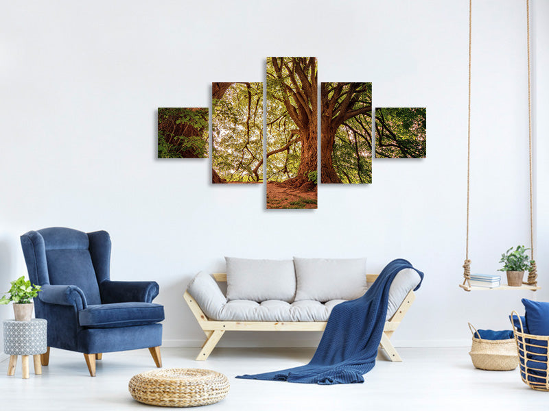 5-piece-canvas-print-in-the-dense-forest