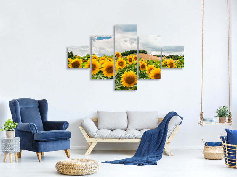 5-piece-canvas-print-landscape-with-sunflowers
