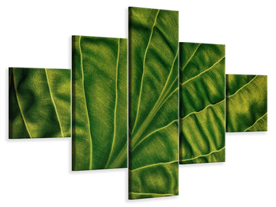 5-piece-canvas-print-leaf-of-a-hosta