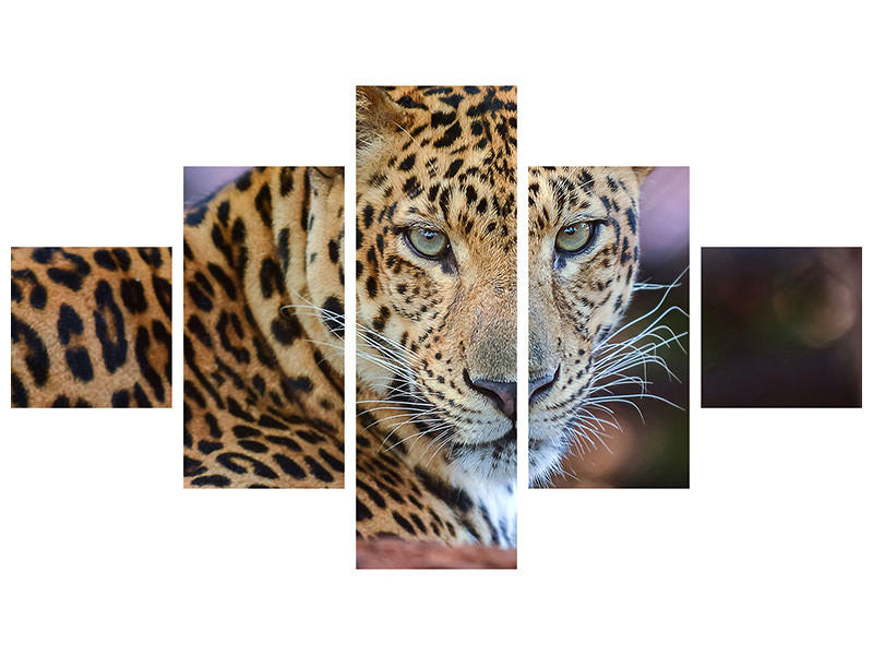 5-piece-canvas-print-leopard