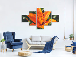 5-piece-canvas-print-lilies-blossom-in-orange-xl