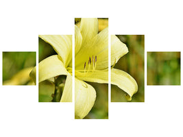 5-piece-canvas-print-lilies-blossom-in-yellow