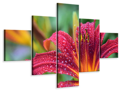 5-piece-canvas-print-lily-flower-in-pink-xl