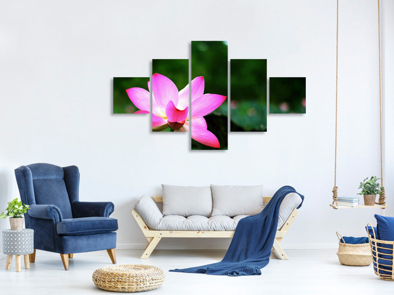 5-piece-canvas-print-lotus-in-nature
