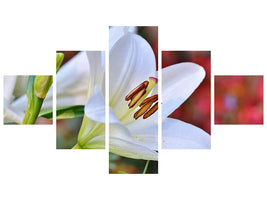 5-piece-canvas-print-magnificent-lily-in-white