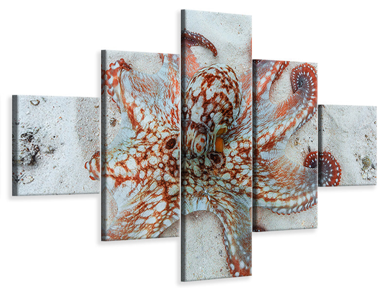 5-piece-canvas-print-octopus-a