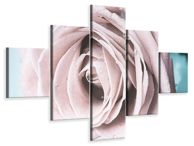 5-piece-canvas-print-pastel-rose
