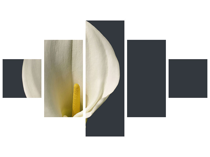 5-piece-canvas-print-proud-calla