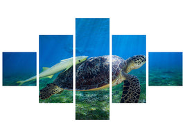 5-piece-canvas-print-sea-turtle