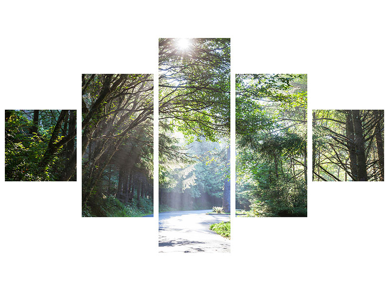 5-piece-canvas-print-sunny-forest-path