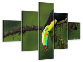 5-piece-canvas-print-the-colors-of-costa-rica
