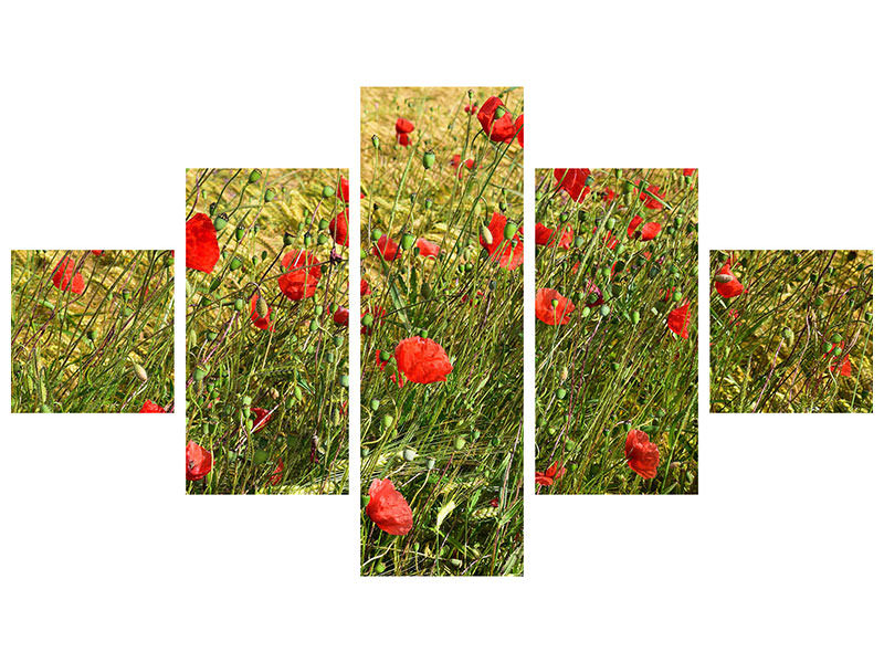 5-piece-canvas-print-the-poppy-in-the-wind