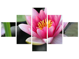 5-piece-canvas-print-the-water-lily-in-pink