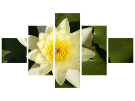 5-piece-canvas-print-the-water-lily-in-yellow