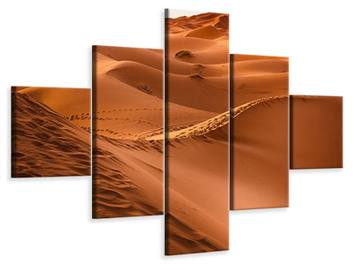 5-piece-canvas-print-traces-in-the-desert