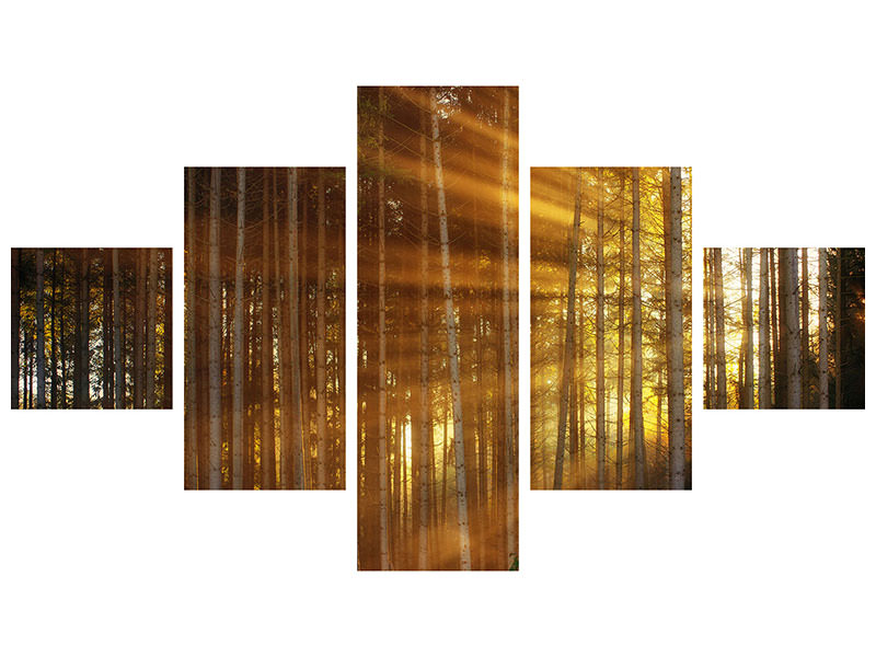 5-piece-canvas-print-trees-in-sunbeams