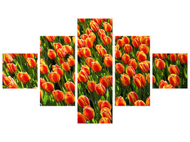 5-piece-canvas-print-tulip-field-in-orange