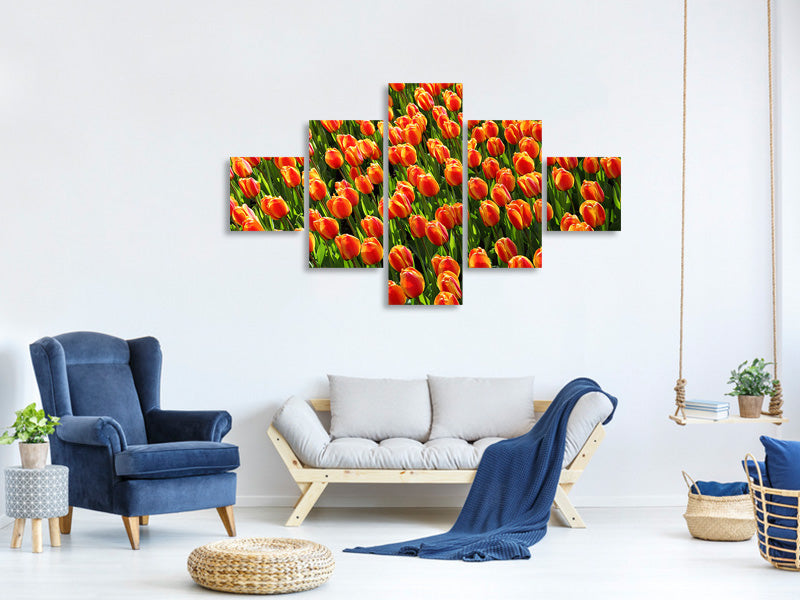 5-piece-canvas-print-tulip-field-in-orange