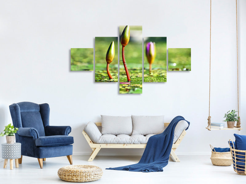 5-piece-canvas-print-water-lilies-in-xl