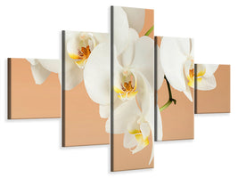 5-piece-canvas-print-white-orchid-flowers