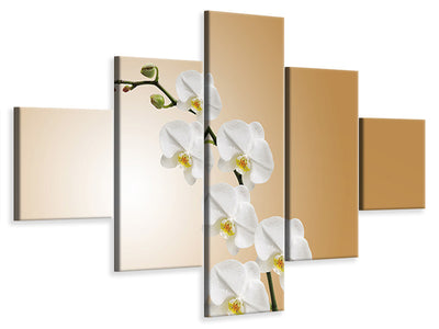 5-piece-canvas-print-white-orchids-xl