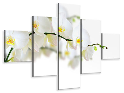 5-piece-canvas-print-white-orchids