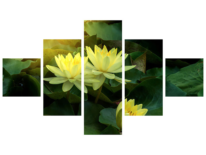 5-piece-canvas-print-wild-lotus