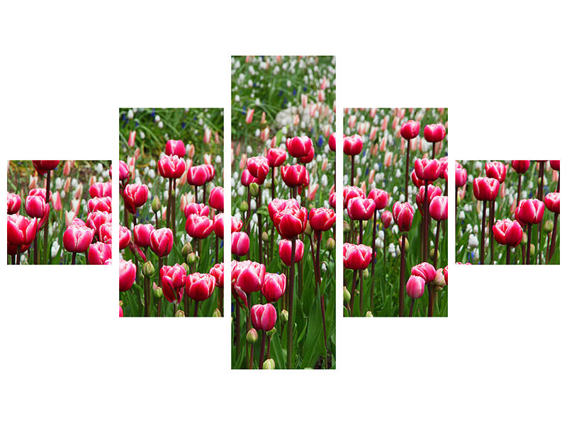 5-piece-canvas-print-wild-tulip-field