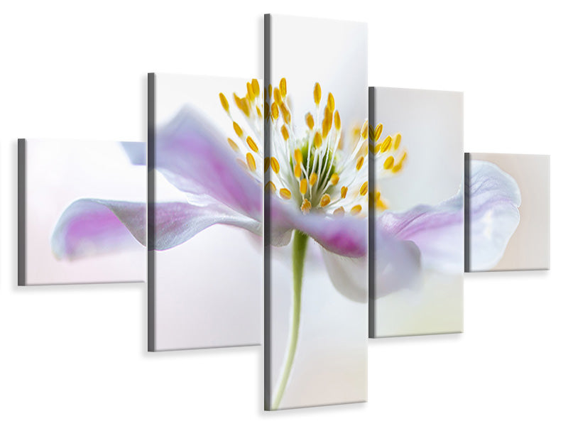 5-piece-canvas-print-wood-anemone