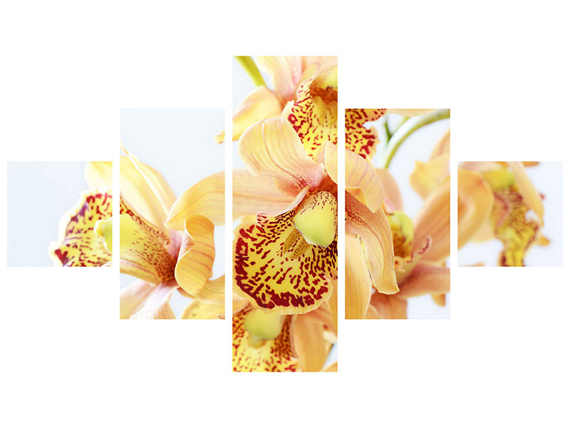 5-piece-canvas-print-yellow-orchid