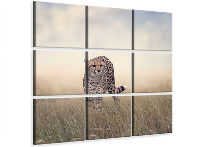 9-piece-canvas-print-the-cheetah