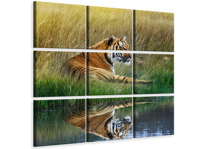 9-piece-canvas-print-the-tiger