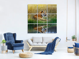 9-piece-canvas-print-the-tiger