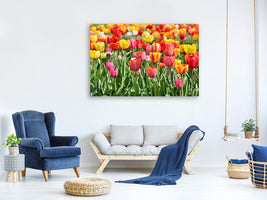 canvas-print-a-colorful-tulip-field