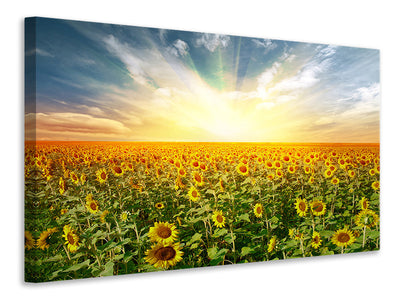 canvas-print-a-field-full-of-sunflowers