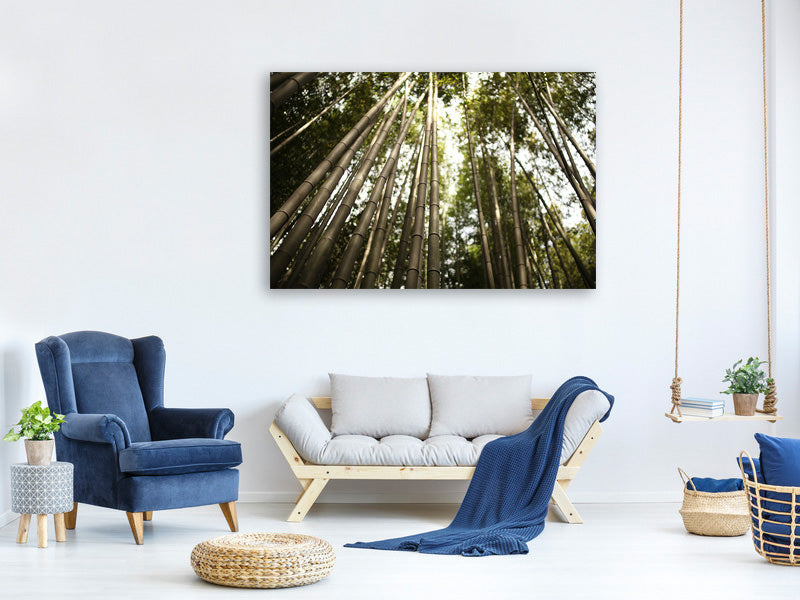 canvas-print-arashiyama-japan