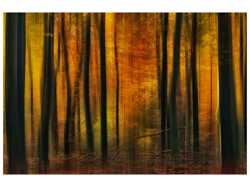 canvas-print-autumn-falls-x